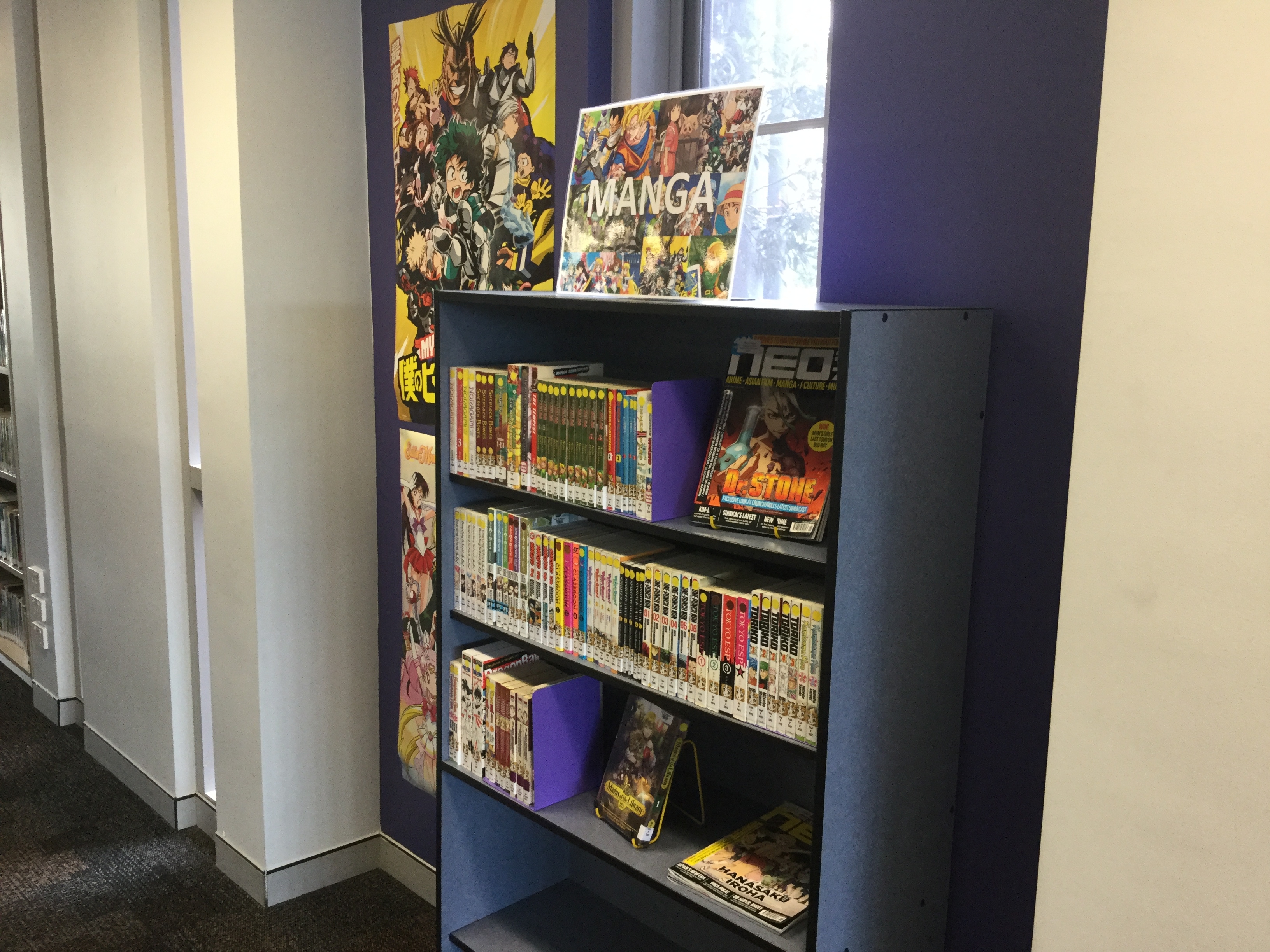 Great range of Manga in the IRC!