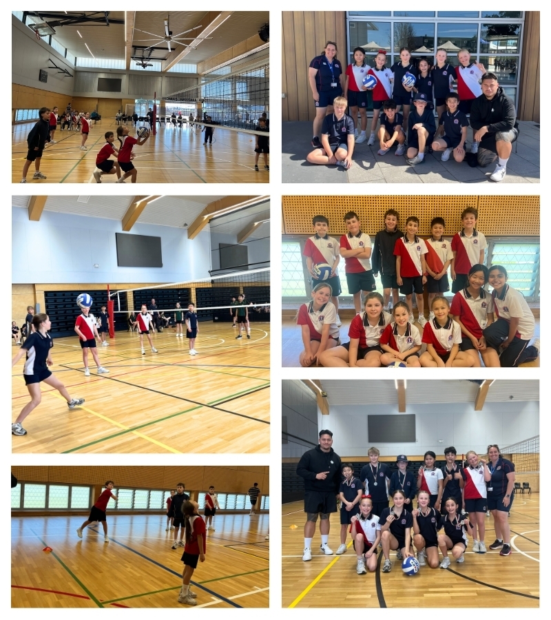 VOLLEY