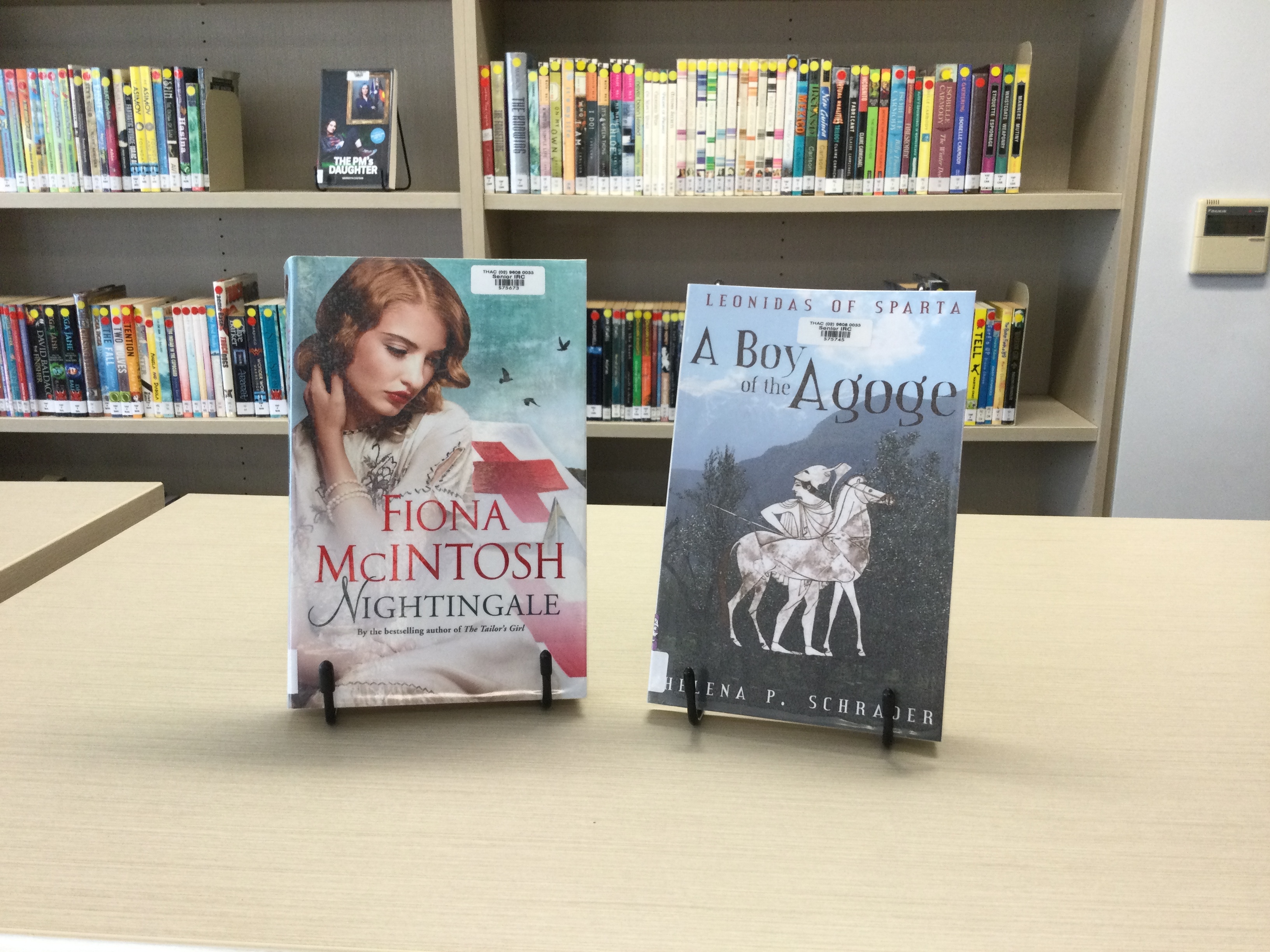 Great new Historical Fiction in the Library!