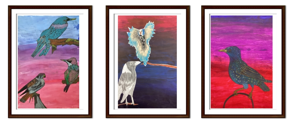 bird