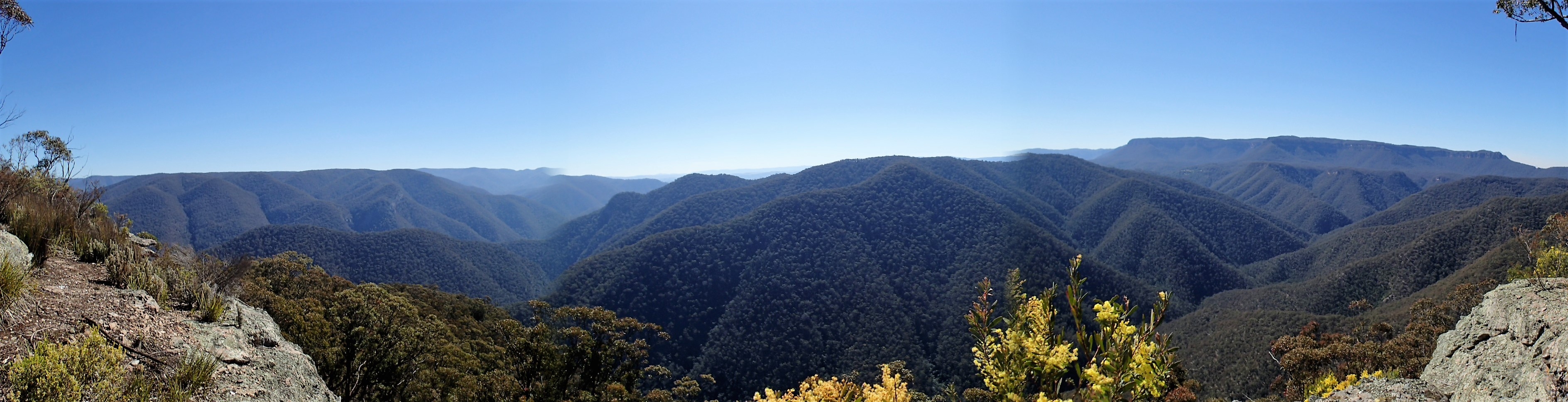 Duke of Edinburgh Blue Mountains