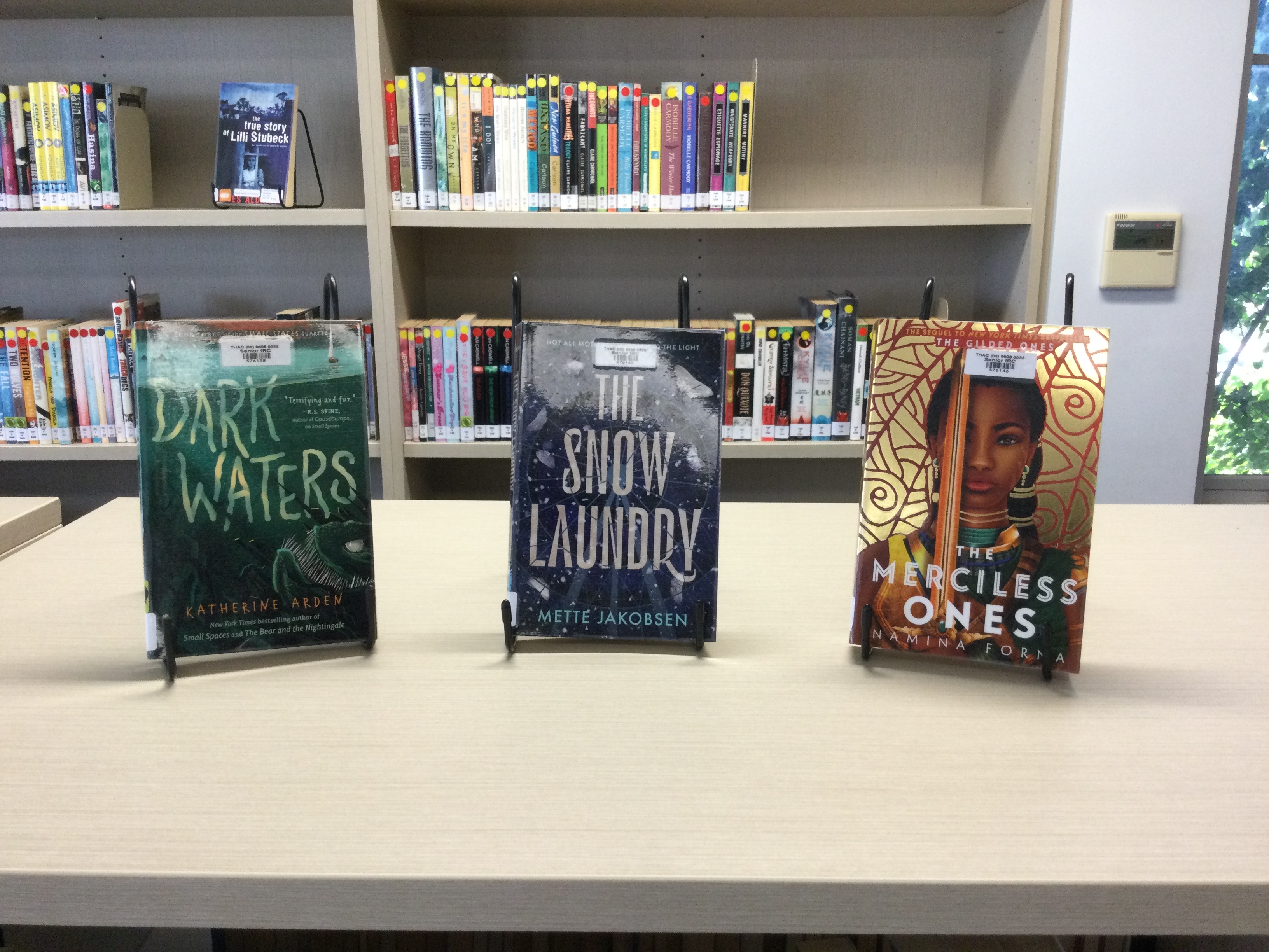 Great new books in the Library!