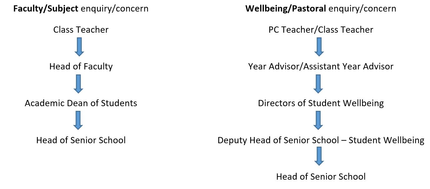 SeniorSchoolChainofContactChart