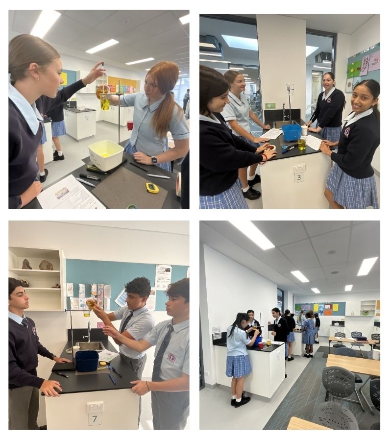 Year 9 Science 