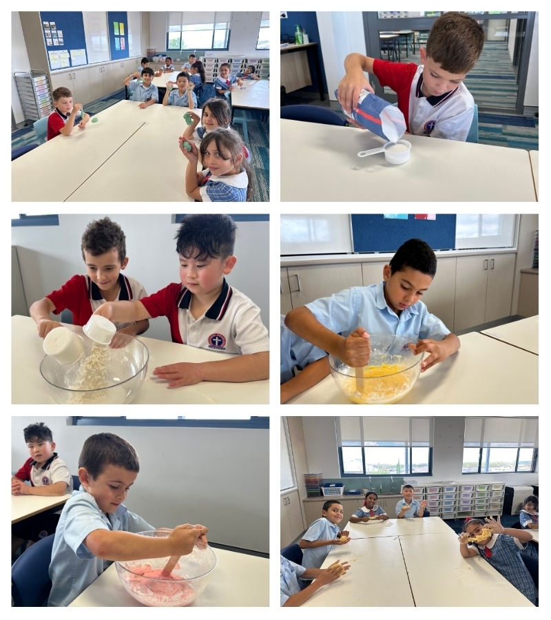 Year 2 Science