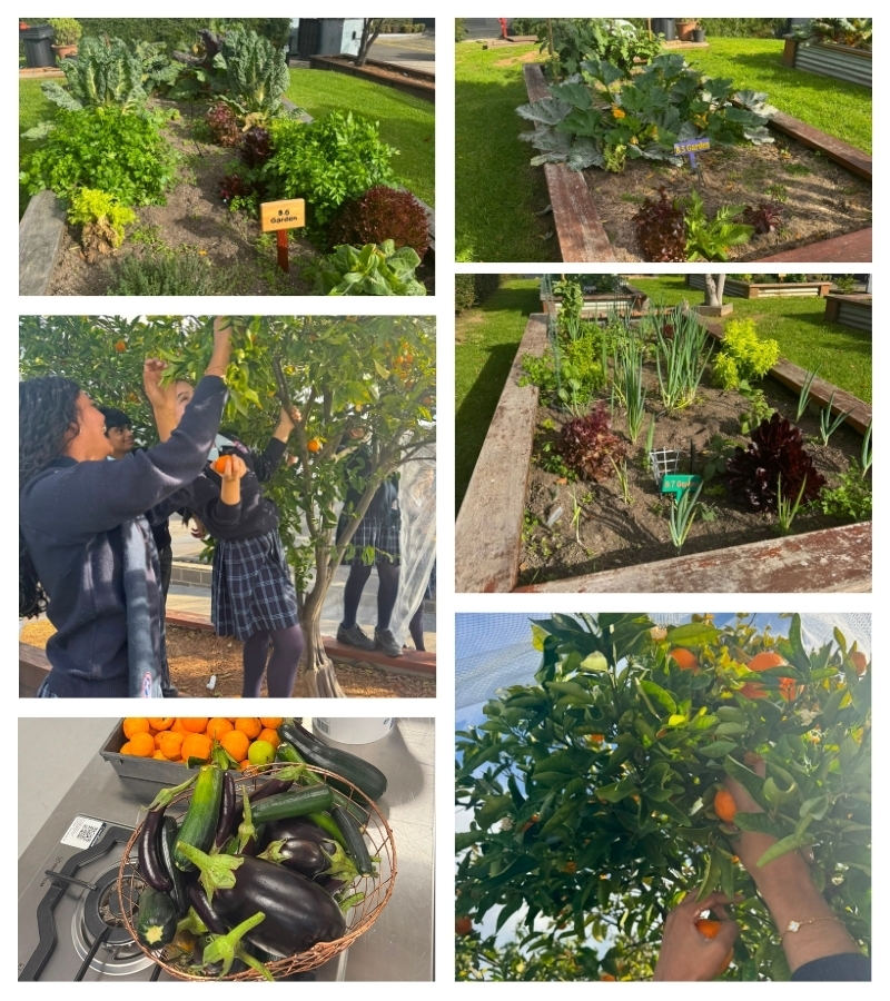 AGRICULTURE