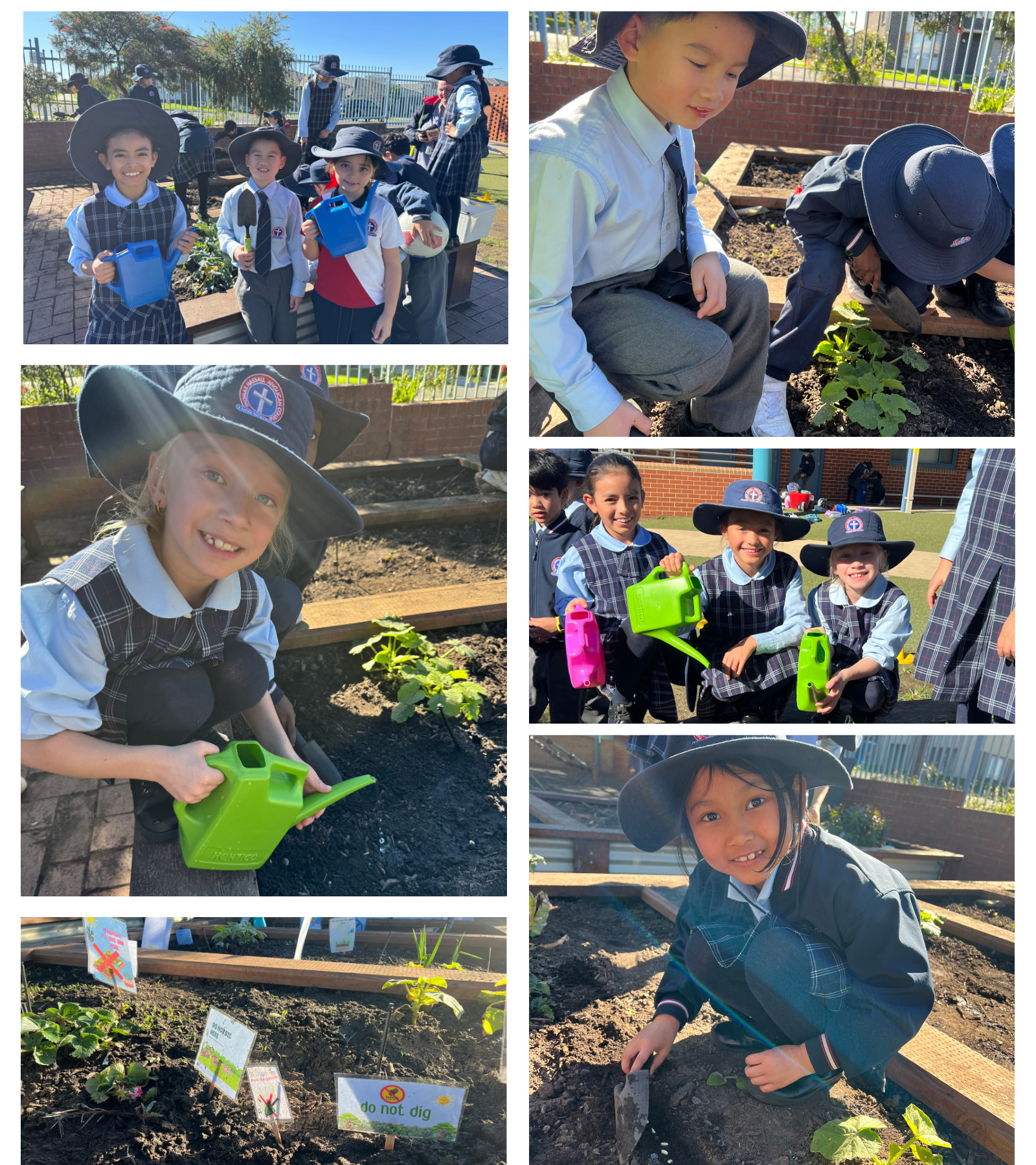gardening