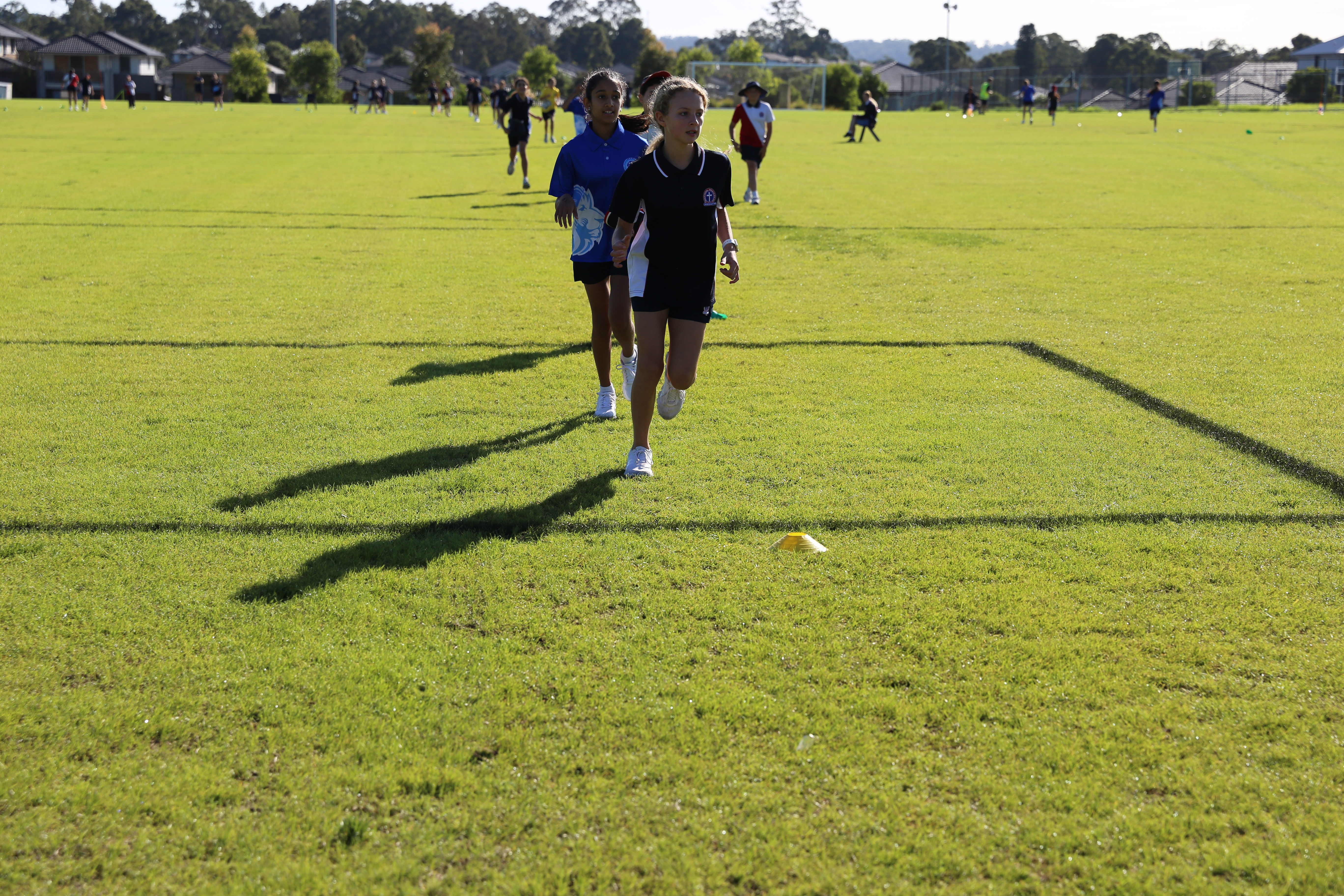 Junior Cross Country