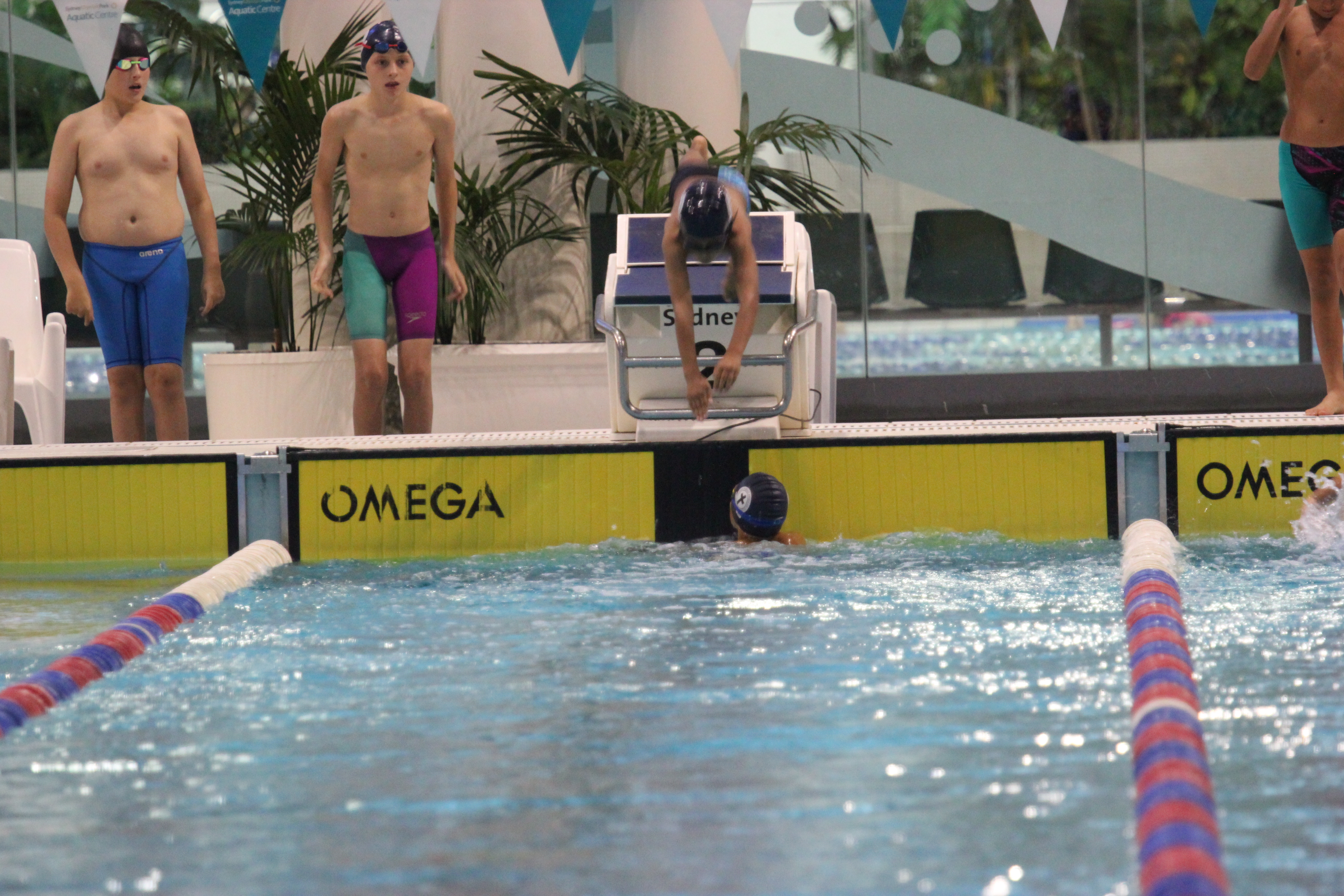 girl swimming diving relay