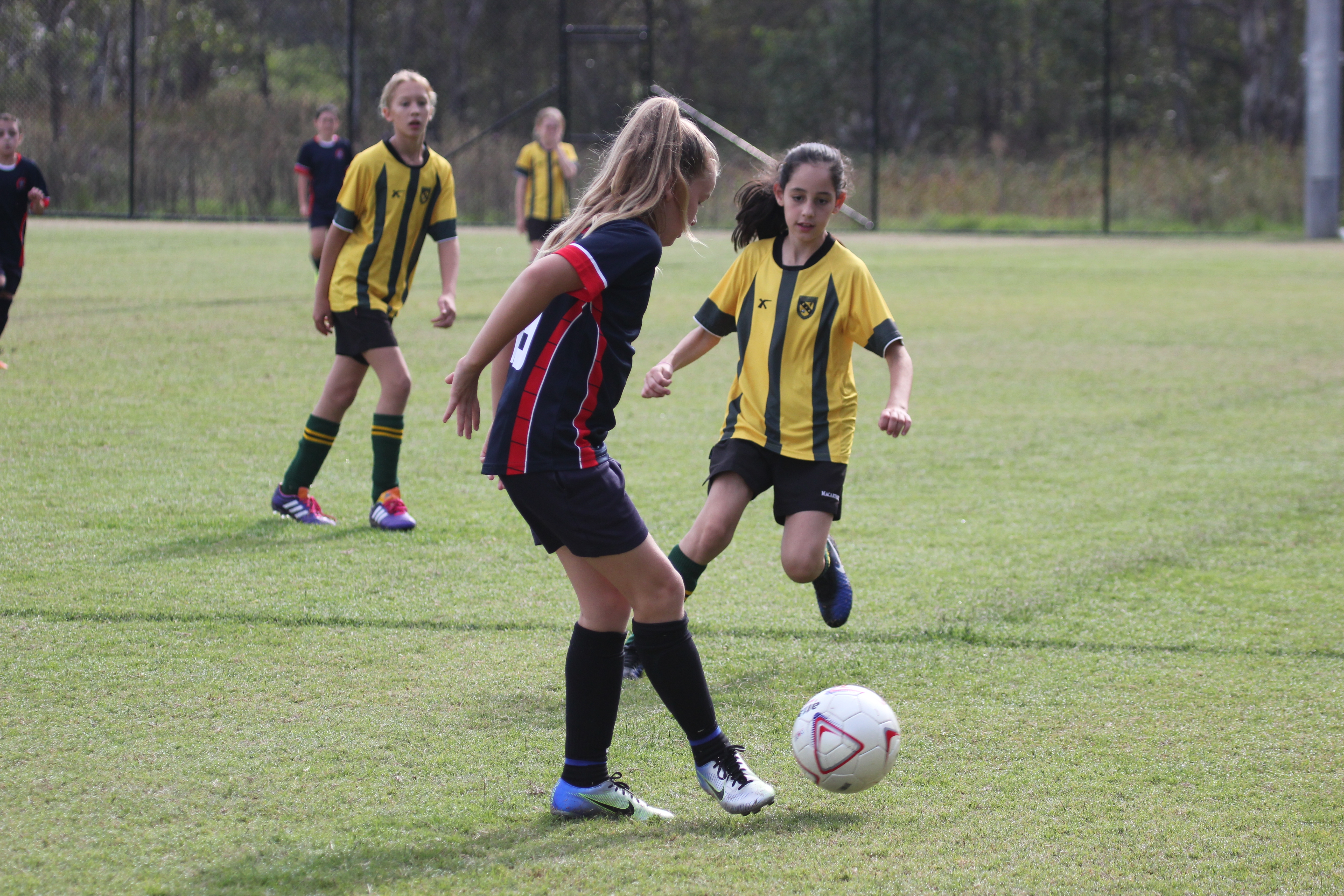 NASSA Soccer primary girls football