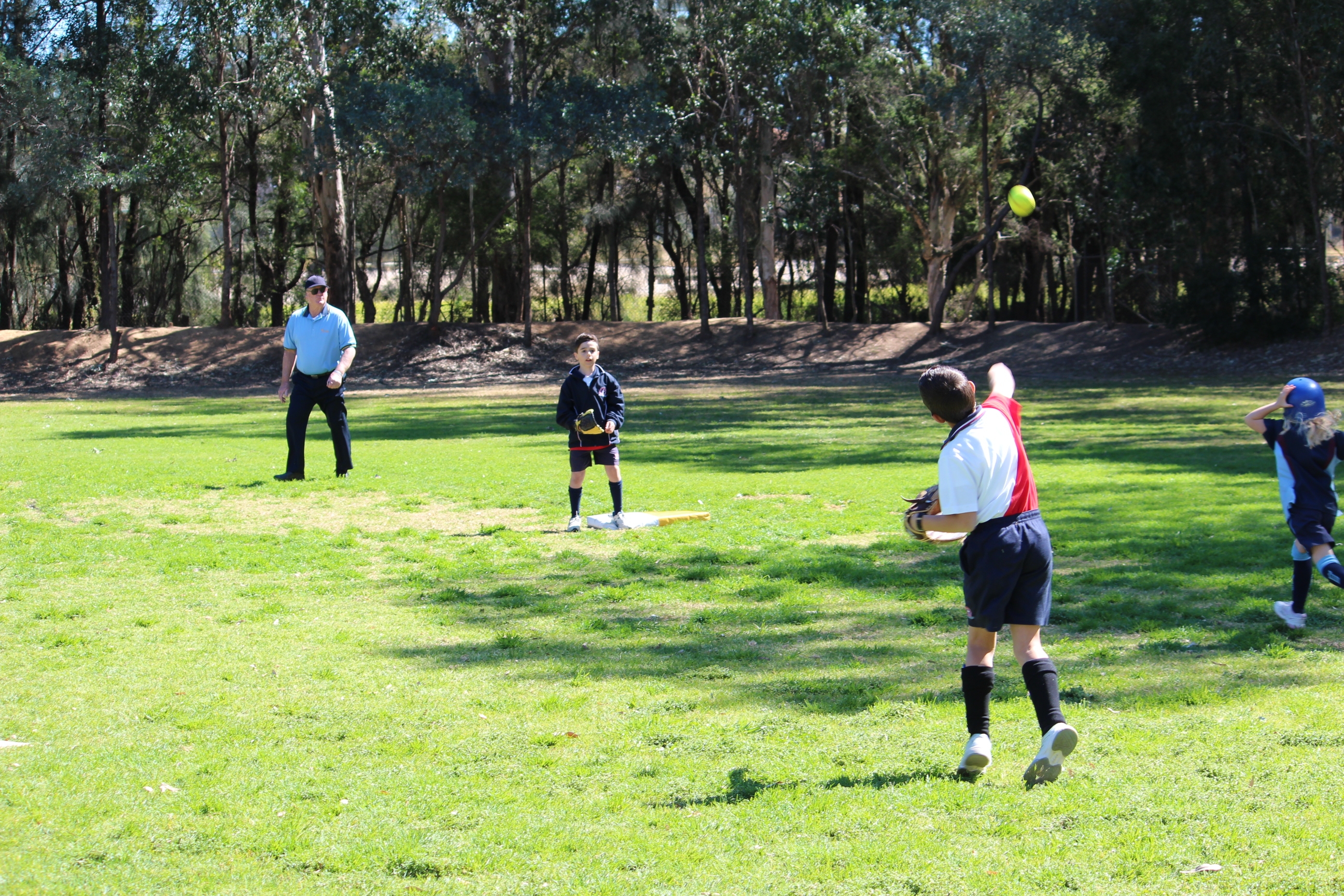 Junior Teeball game