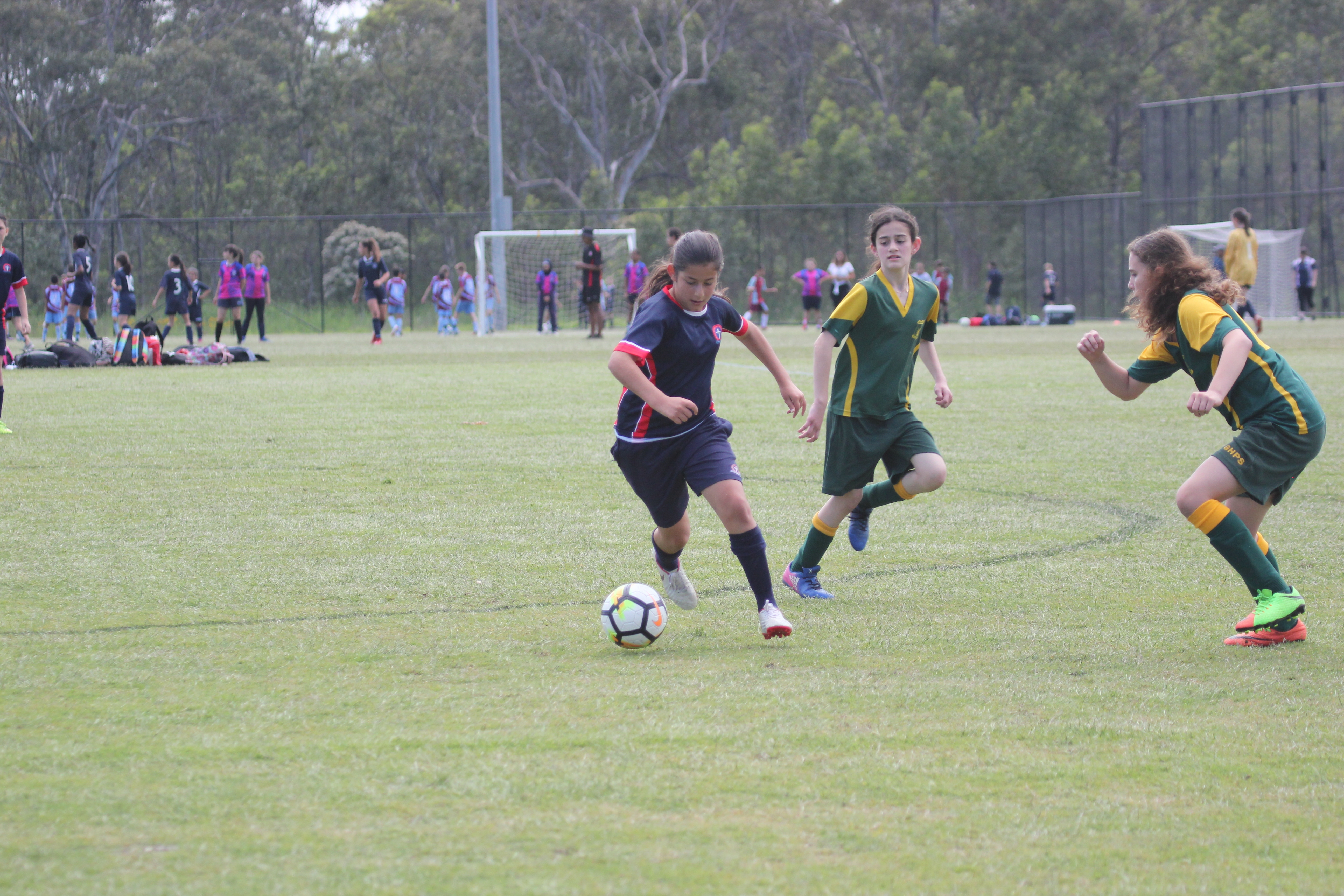 Wanderers cup football