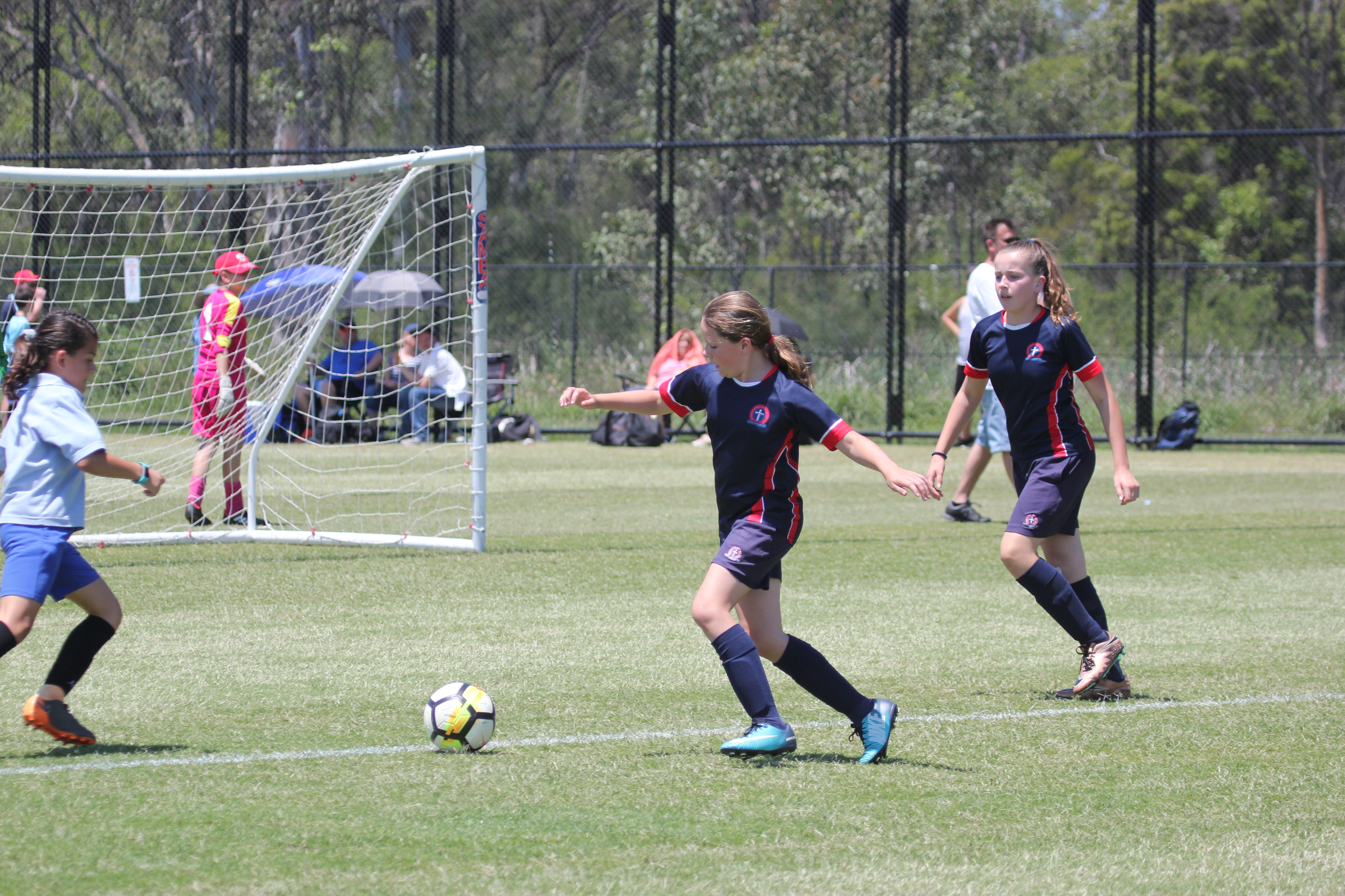 Wanderers cup football