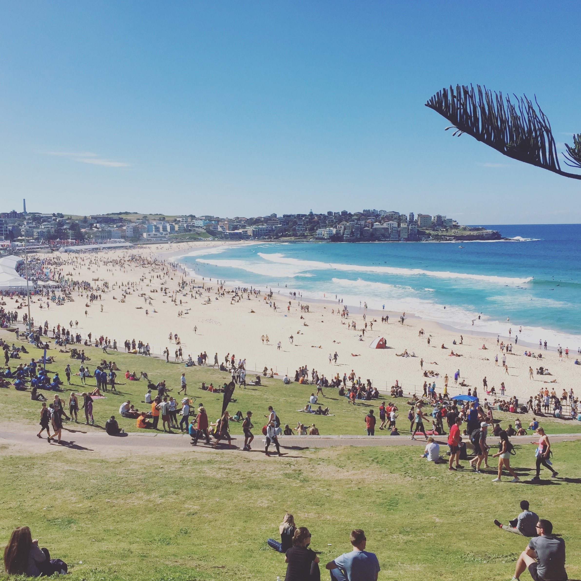 City2Surf Bondi