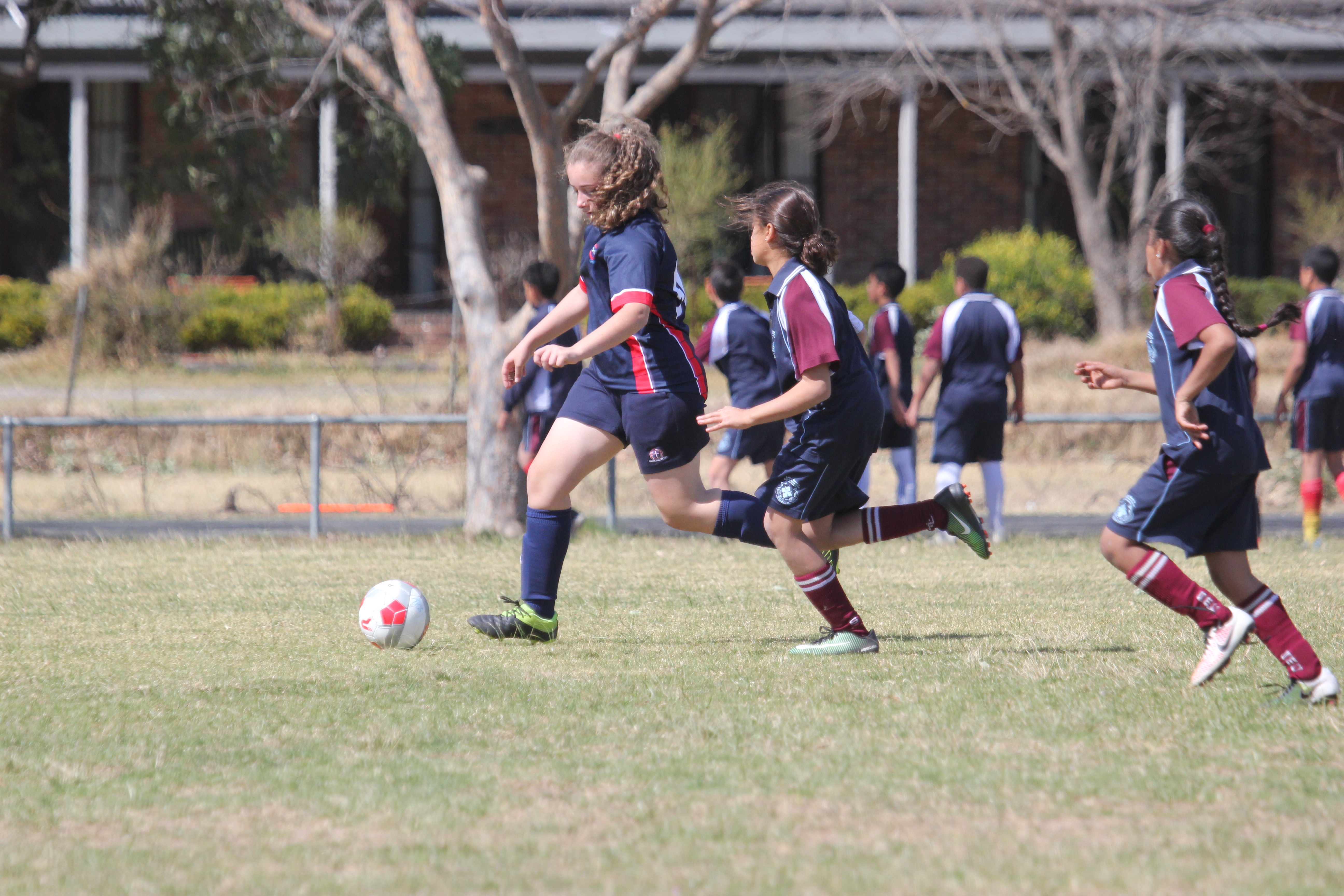 soccer football