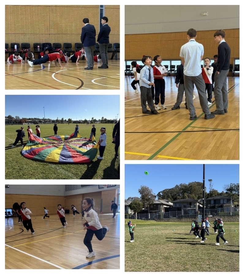 mini olympic