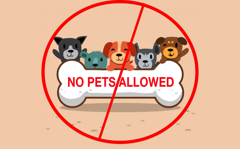 no pets