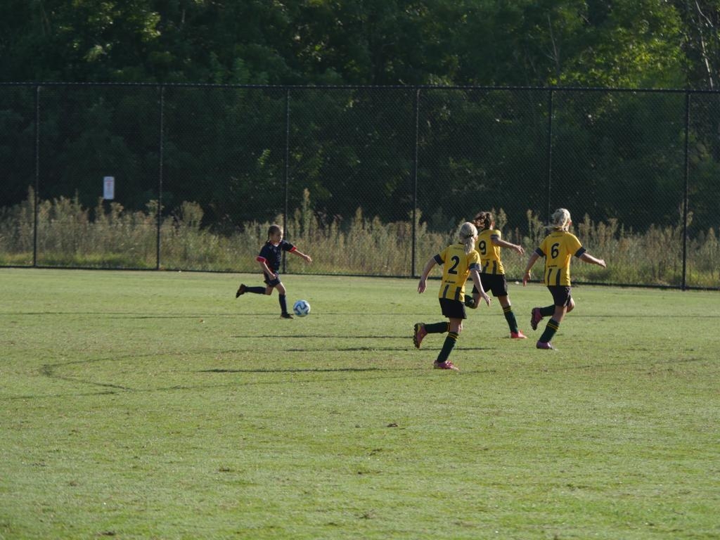 Primary girl football soccer