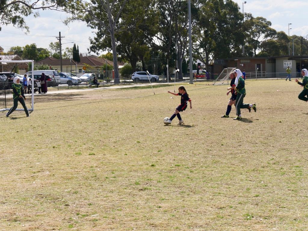 Wanderers Cup