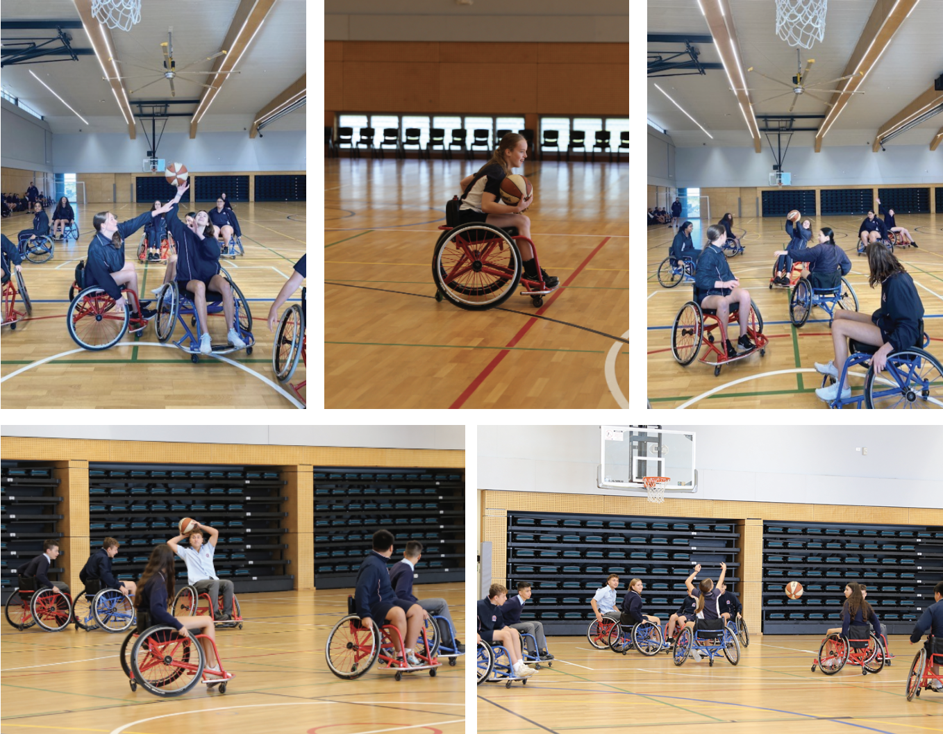 Wheelchair Sports