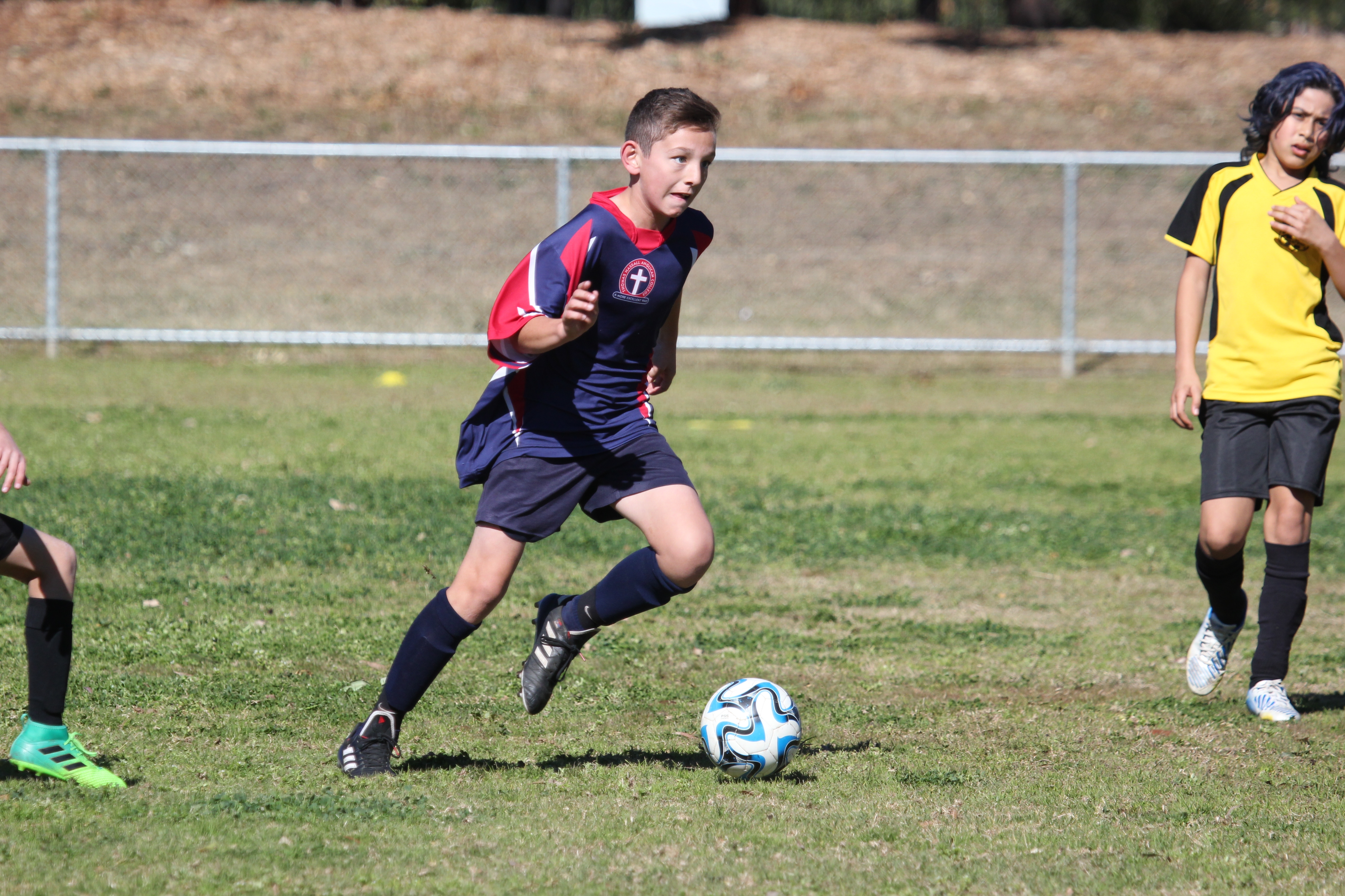 Wanderers Cup Football Primary Soccer