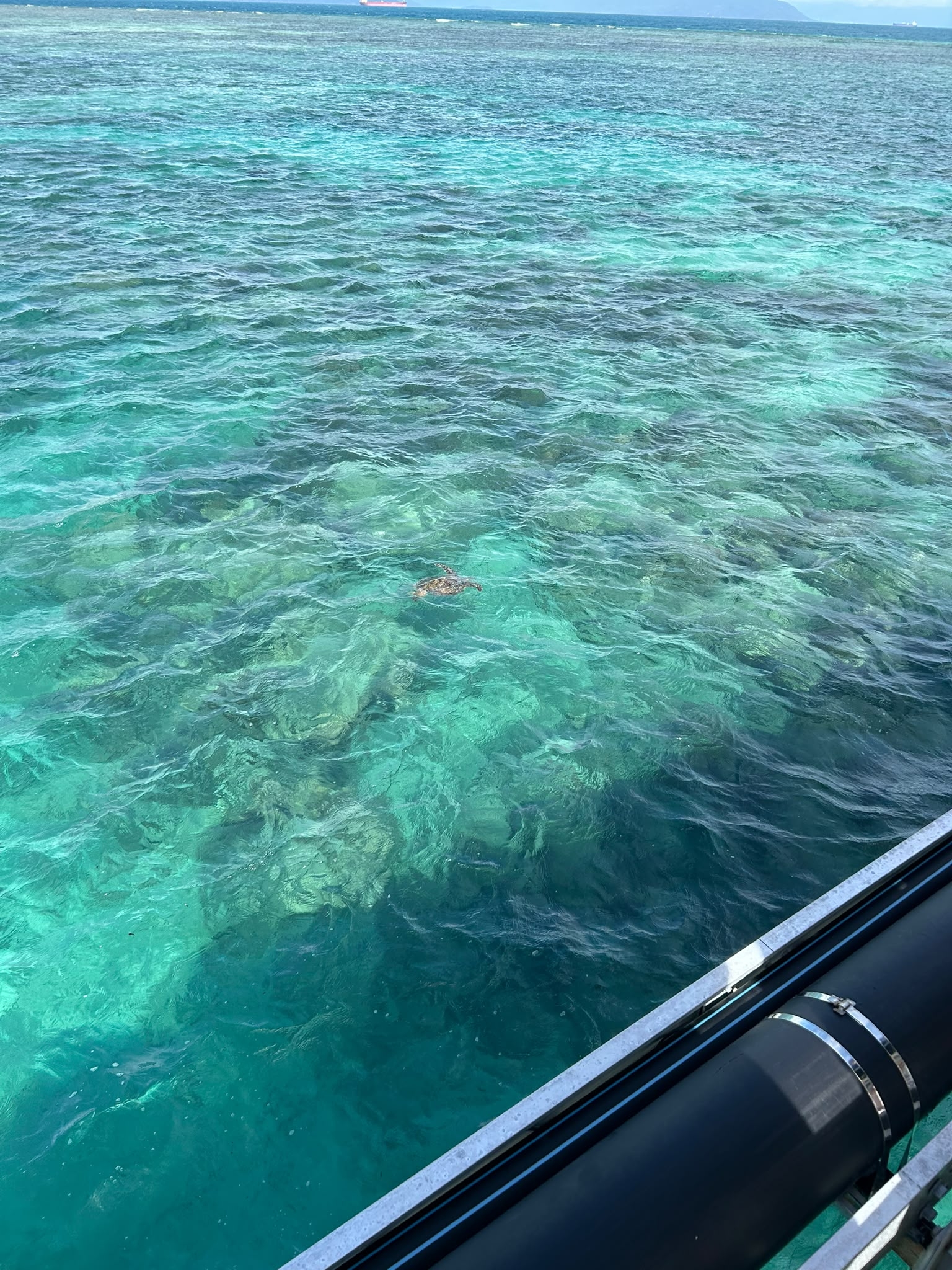 Reef