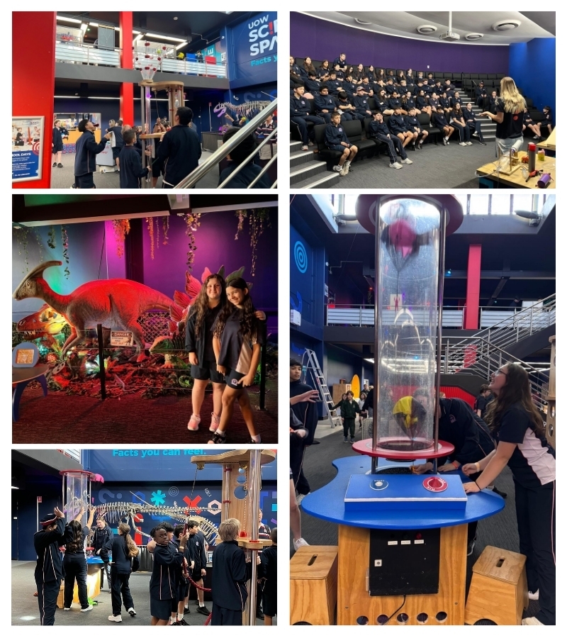 year 7 science 