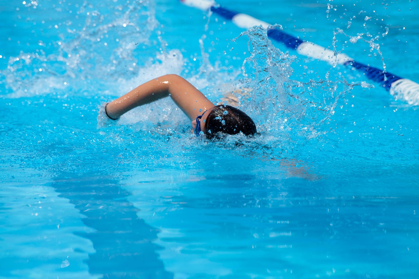 Swimming Carnival 