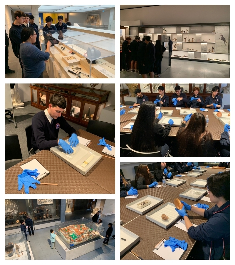year 11 Science 