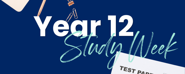 Study