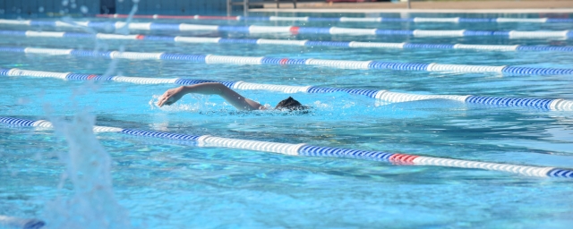 THAC Swimming Carnival