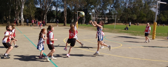 IPSSO Netball