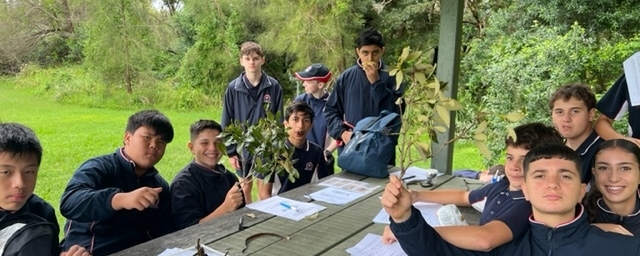 Year 9 ecology excursion
