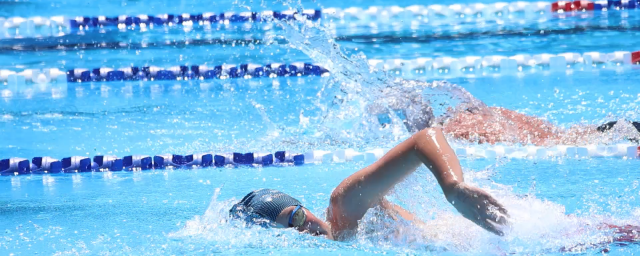 Swimming Carnival 