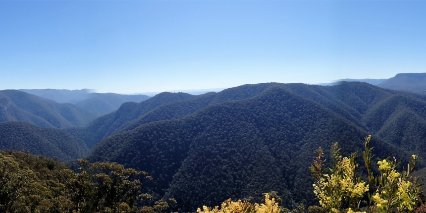 Duke of Edinburgh Blue Mountains