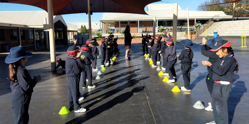 Cricket Australia Visit Year 1 