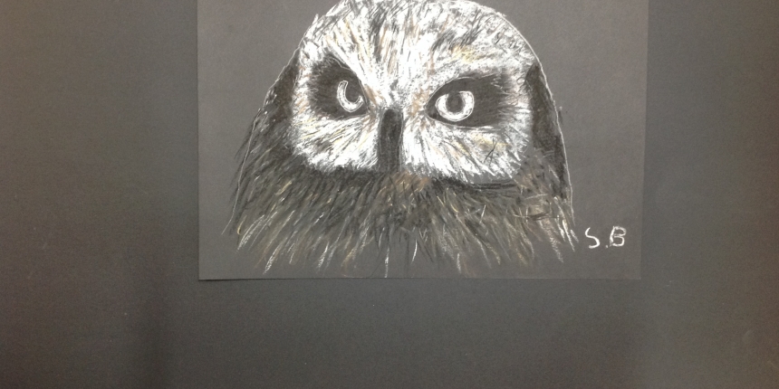 owl