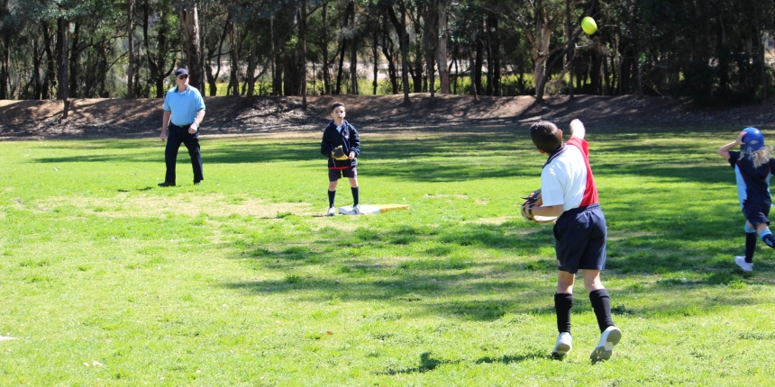 Junior Teeball game