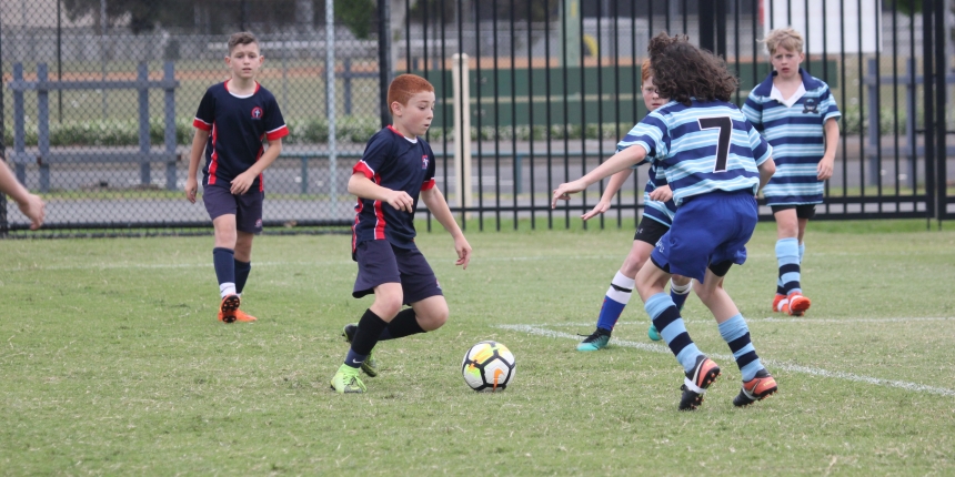 Wanderers cup football