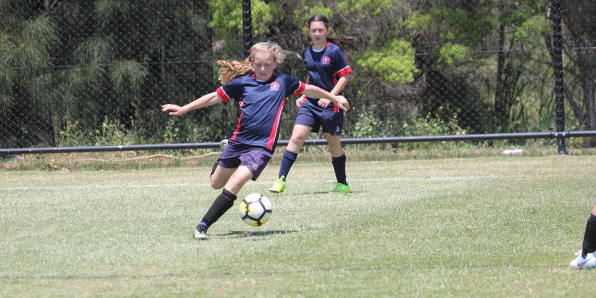 Wanderers cup football