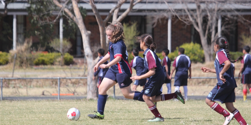 soccer football