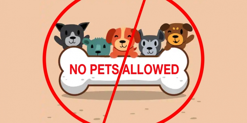 no pets