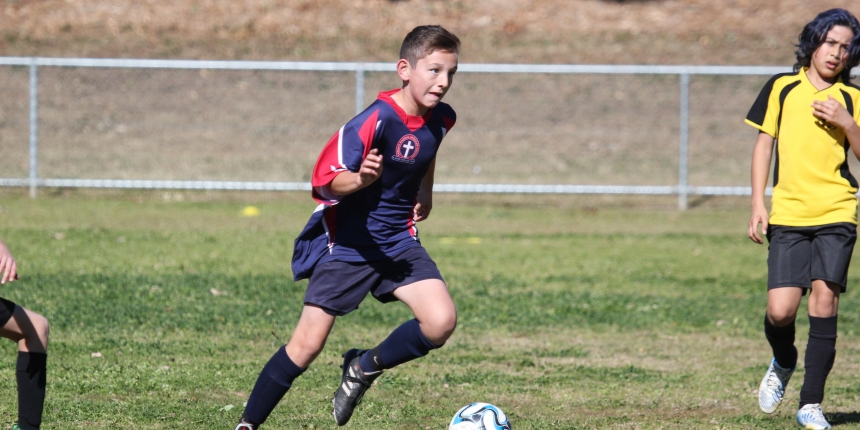 Wanderers Cup Football Primary Soccer