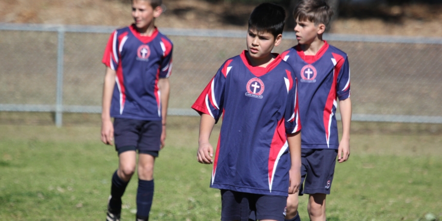 Wanderers Cup Football Primary Soccer