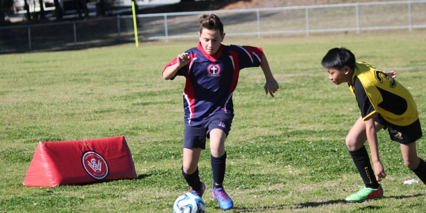 Wanderers Cup Football Primary Soccer