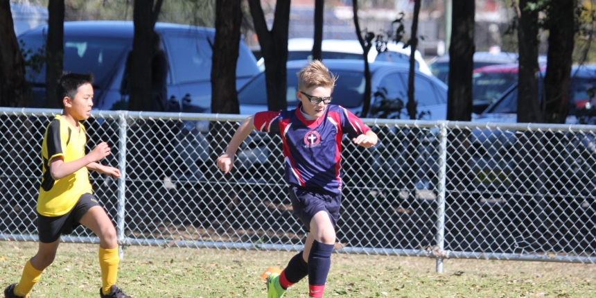 Wanderers Cup Football Primary Soccer